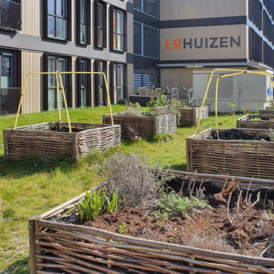 Moestuinbakken bij LoHuizen