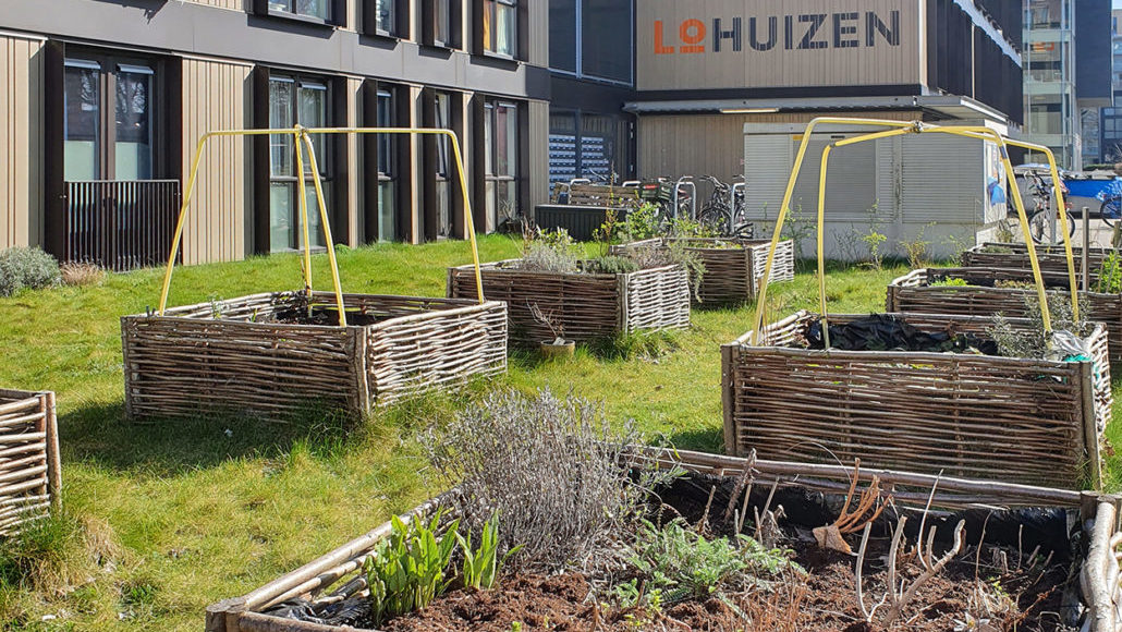 Moestuinbakken bij LoHuizen